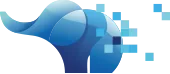 E-memoria